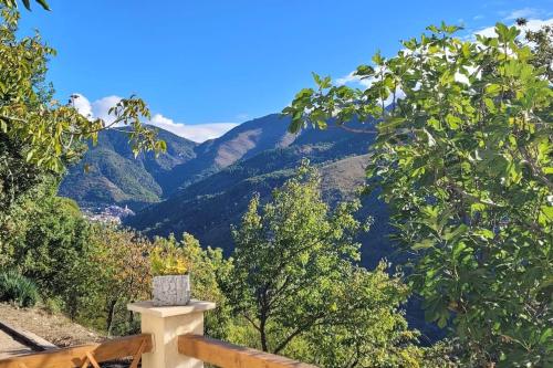 A Casinca: Maison 3 chambres dans un écrin de nature ...