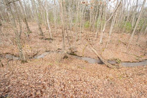 Laurel Brook 39