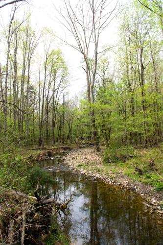 สภาพแวดล้อมโดยรอบ, Juneberry Ridge in อัลเบมาร์ล (NC)