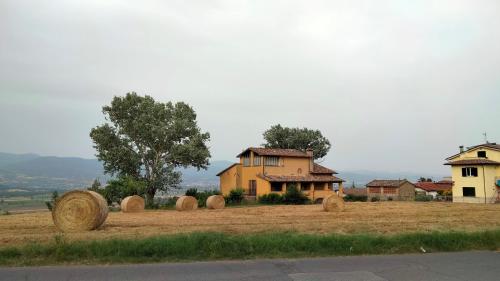  Vigna del Poggio, Pension in Anghiari