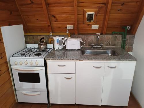 Cabanas Nevis, excelente ubicacion in El Calafate