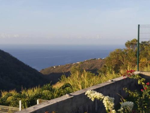 Citronnelles in Schœlcher