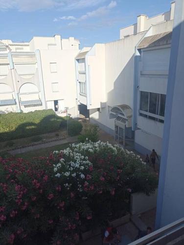 Garden, Appartement 2 pieces + cabine, 6 couchages in Le Grau-du-Roi