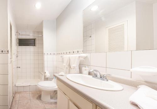 Superior Triple Room image 6