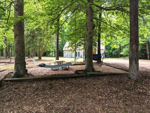 Serenity in the Suburbs: Your Gorgeous RVA Getaway Serenity in the Suburbs: Your Gorgeous RVA Getaway