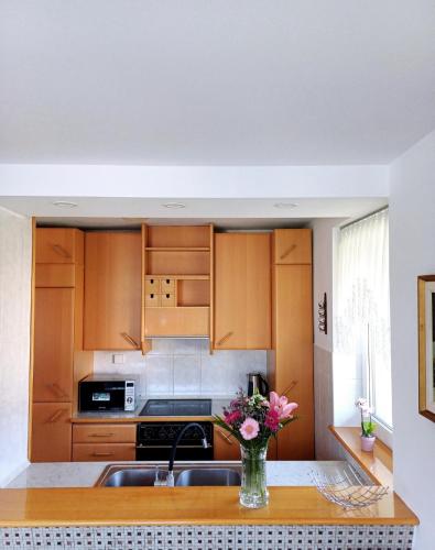 кухня, Apartma AJDA in Веленє