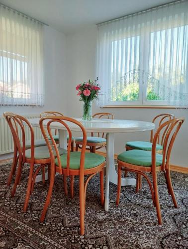 Зручності, Apartma AJDA in Веленє