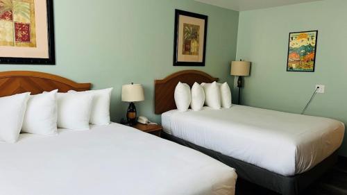 2 queen beds