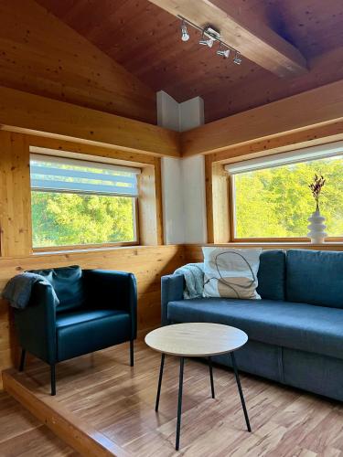 Magnifique chalet - Chalet - Châtel-Saint-Denis