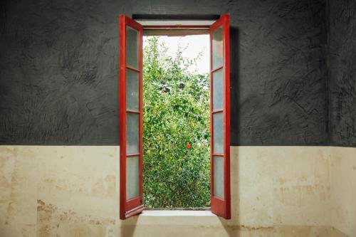 487245412 Maison du comte