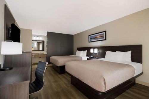 体育馆品质汽车旅馆 体育馆品质汽车旅馆