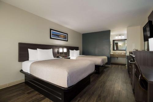 体育馆品质汽车旅馆 体育馆品质汽车旅馆