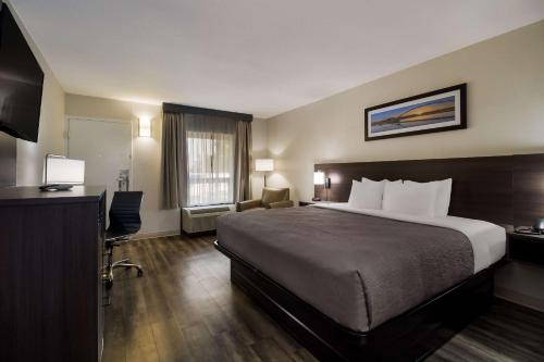 体育馆品质汽车旅馆 体育馆品质汽车旅馆