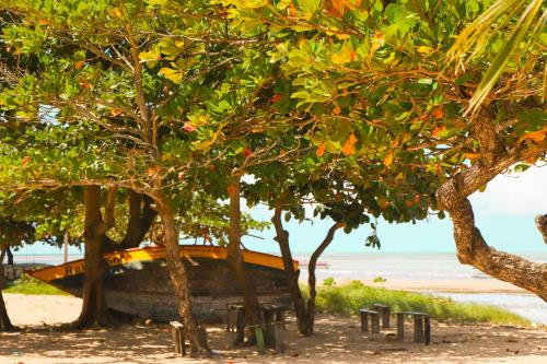 Pousada Venezia Tropicale in Japaratinga