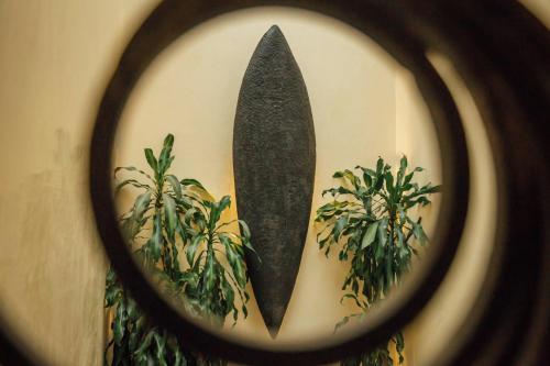 487264460 Maison du comte