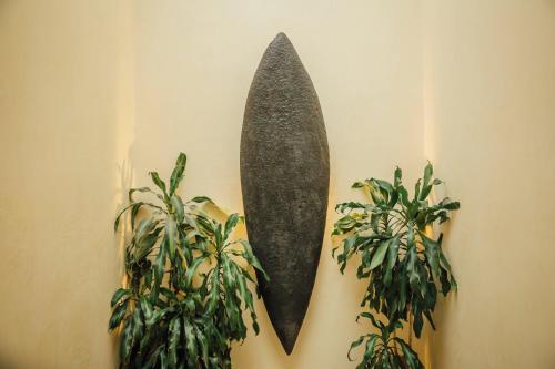 487264480 Maison du comte