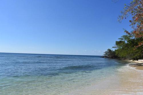 . Irie Vibes by the beach