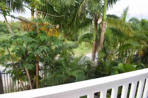 Irie Vibes by the beach Irie Vibes by the beach