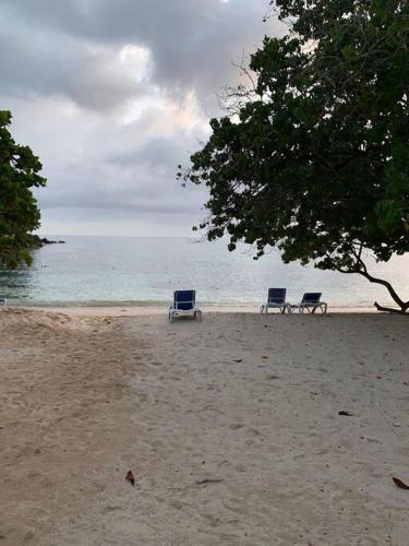 Irie Vibes by the beach Irie Vibes by the beach