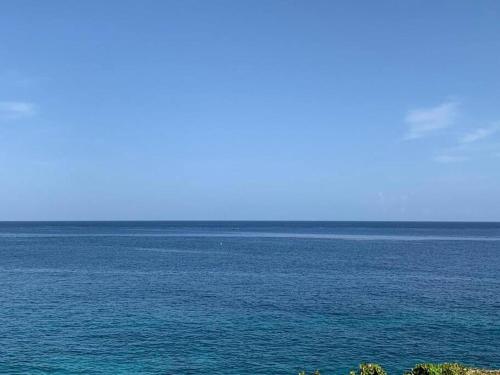 Irie Vibes Ocean View - Negril
