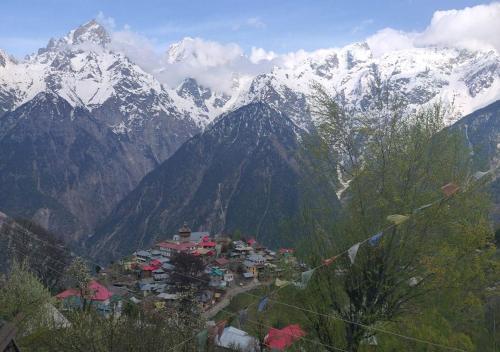 Hotel Apple Pie Kalpa