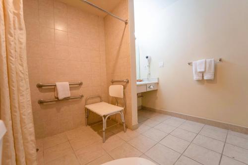 Royal Plaza Inn - image 10