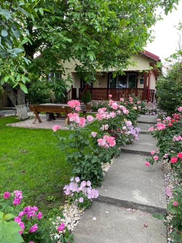 B&B Drăgăneşti-Vlaşca - CaSa TA - Comoara - Bed and Breakfast Drăgăneşti-Vlaşca