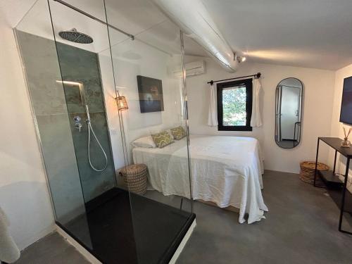 Deluxe Double Room with Shower