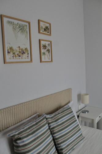 WISH SUITE PLAZA NUEVA