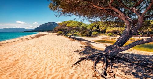 ISA-Appartaments in Orosei with air conditioning