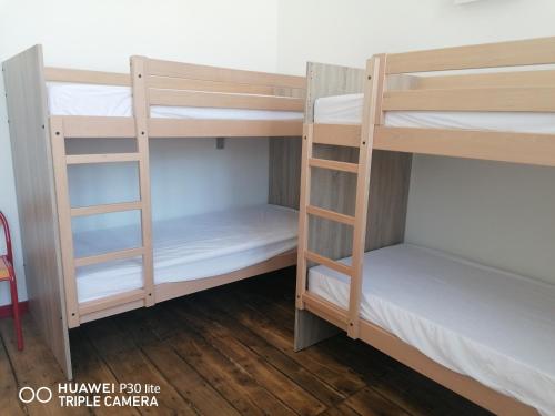 Bunk Bed in Mixed Dormitory Room