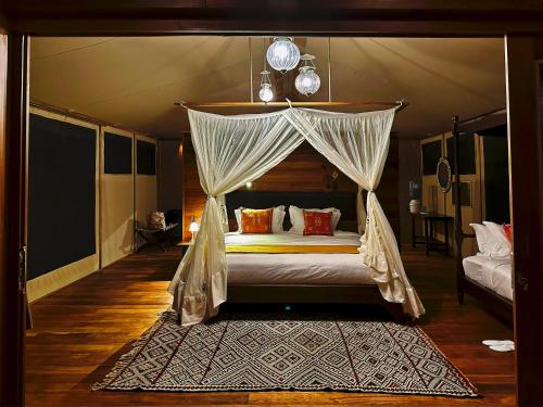 Soroi Larsens Camp in 삼부루 국립공원