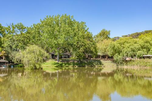 B&B Paarl - Picardie Guest Farm - Bed and Breakfast Paarl