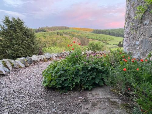 Shannobank farmhouse