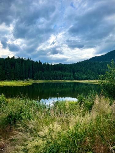 RELAX aпартаменти, Смолянски езера, вила ВЕНЕРА, к-с Маунтин Лейк, Smolyan (foto 3)