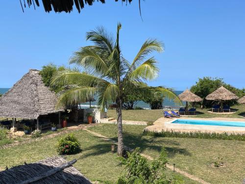 Dārzs, Pangani Cliffs Lodge in Pangani