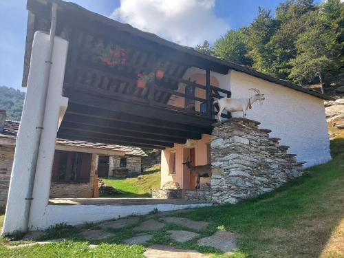 クールマイヨール Gran Paradiso 4つ星 ゲストハウス ロビー