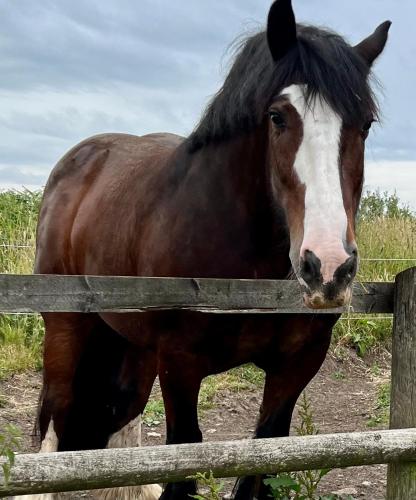 Beudy Bach - image 4