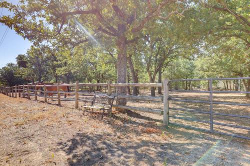 Horse-Friendly Weatherford Oasis with Splash Pool