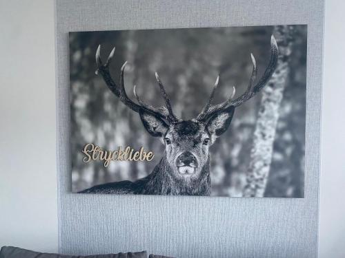 Ferienwohnung Stryckliebe, Willingen
