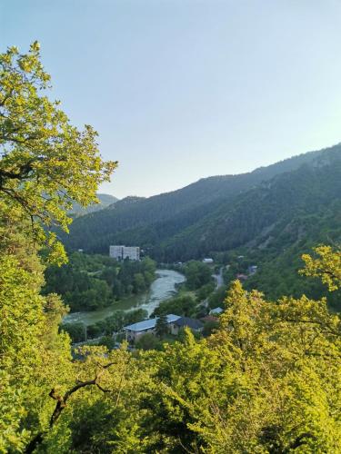 Guest House on Meskheti
