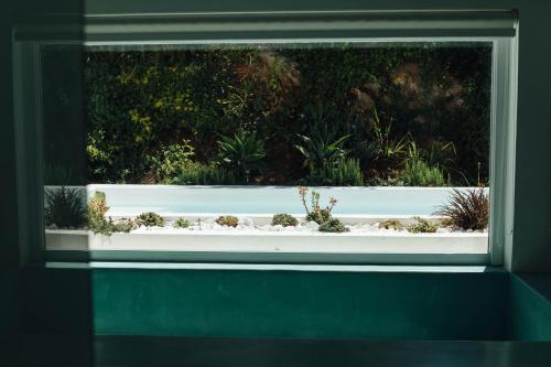 Vila Monte Farm House - image 3