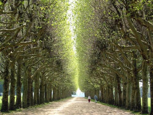 Paris & Versailles at your feet! Shared room in nice house