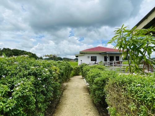 Jazz Ferme Inn Batuan Bohol in Batuan