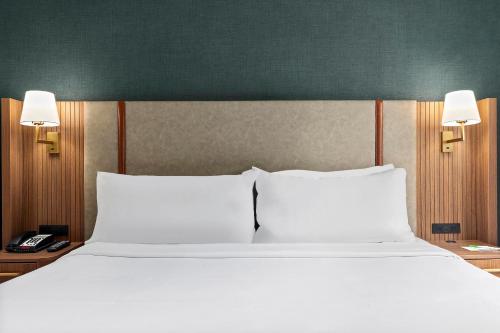 Holiday Inn Manhattan 6th Ave - Chelsea by IHG, New York (fotografie 6)