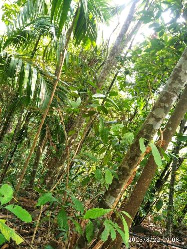 Spiritual Nature Farm - Sri Lanka