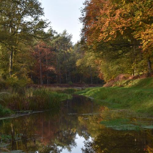 Vakantiehuis de Bakspieker