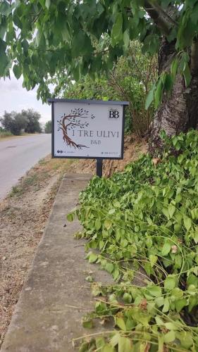 . B&B I Tre Ulivi