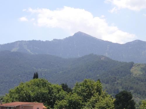 Danae Hotel – Thassos Town, MO