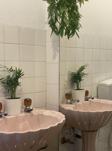 Nina's Stay Hostel Nina's Stay Hostel